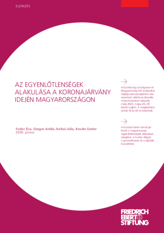 Az egyenlotlenségek alakulása a koronajárvány idején magyarországon