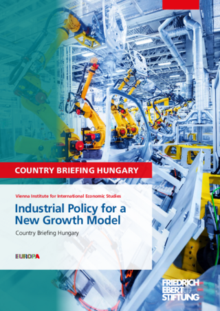 Industrial policy for a new growth model