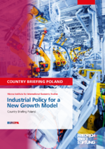 Industrial policy for a new growth model