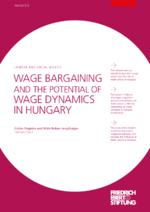 Wage bargaining and the potential of wage dynamics in Hungary