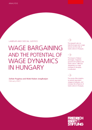 Wage bargaining and the potential of wage dynamics in Hungary